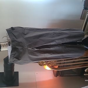 Banana Republic Ankle Pants 12